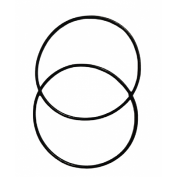 Set de 2 oringuri pentru carcasa Big Blue Inox 10" si 20"